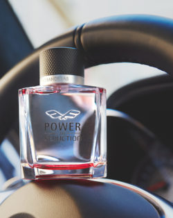 Power of Seduction 8