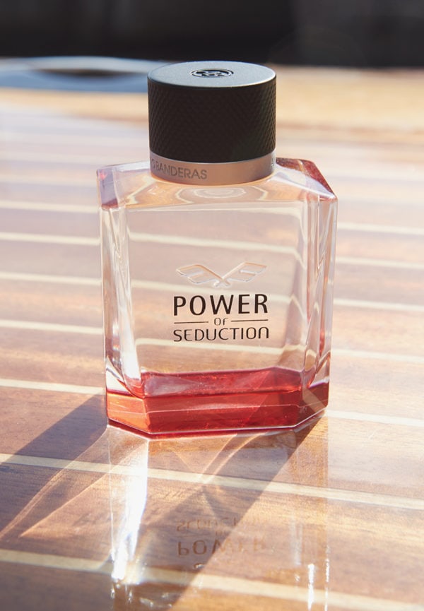 Power of Seduction 6