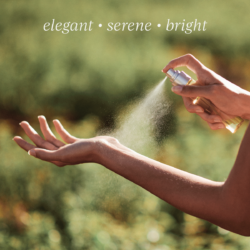 Osmanthus Eau de Toilette 8