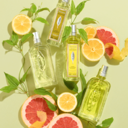 Citrus Verbena Eau de Toilette 9