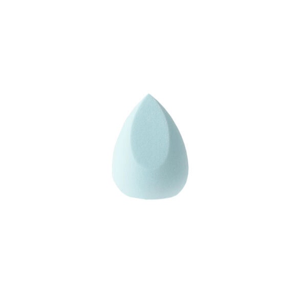 Blending Sponge (212)