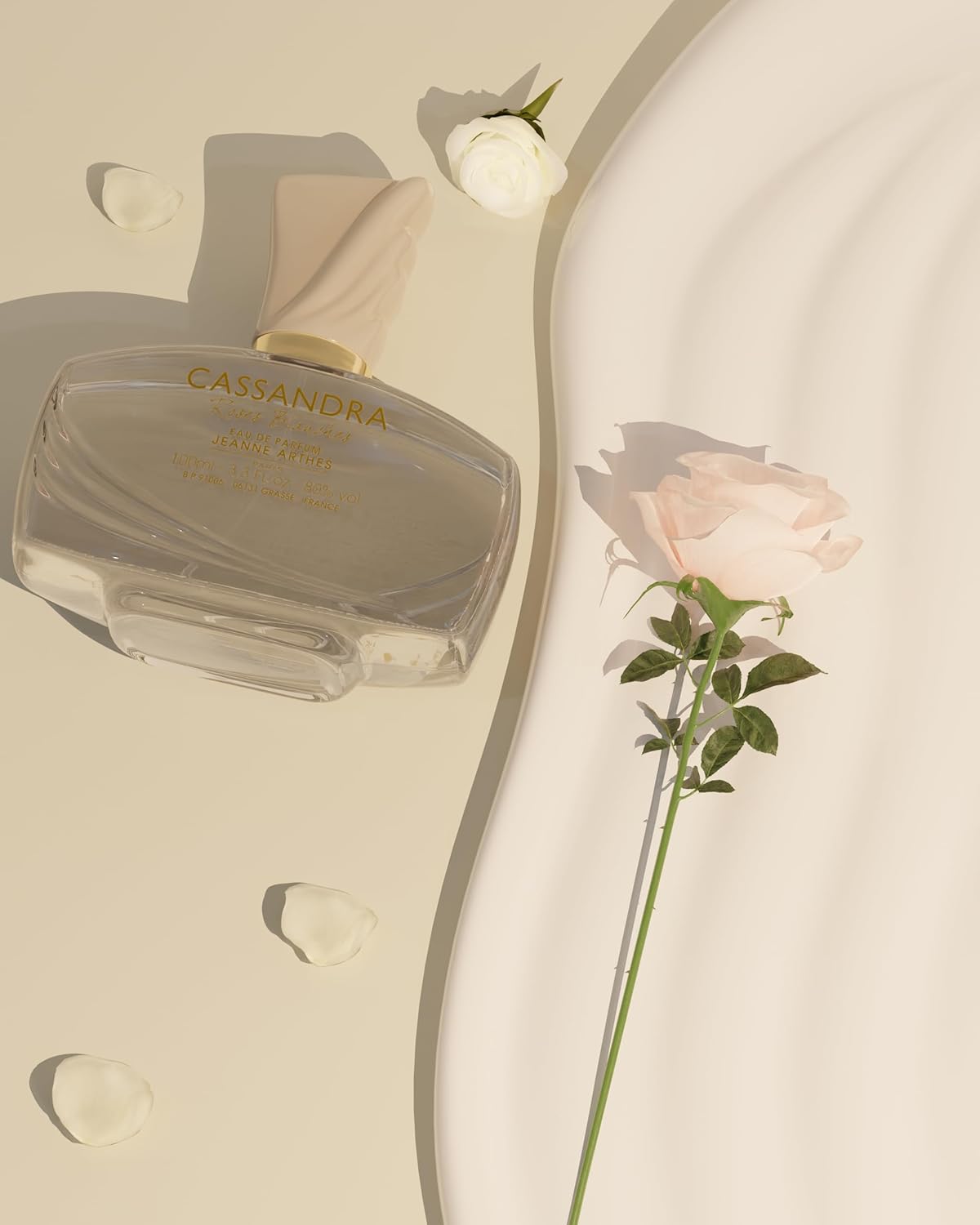 Cassandra Roses Blanches 6