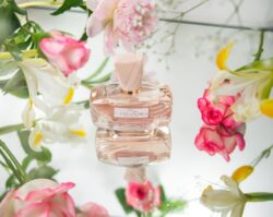 Alternative view of Cassandra Miss Cassandra