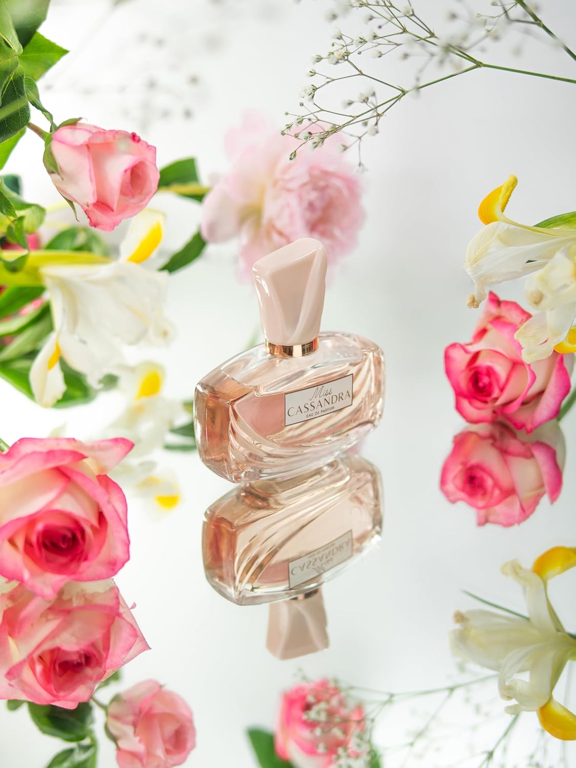 Cassandra Miss Cassandra 6