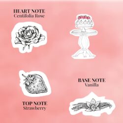 Tea Time a Paris - Palova 5