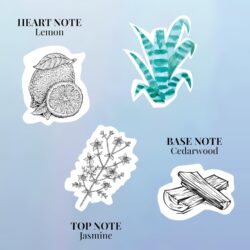 Collection Azur - Balcon Mediterraneen 5