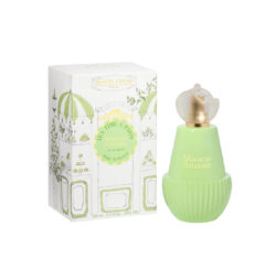 Tea Time a Paris - Macaron Amande